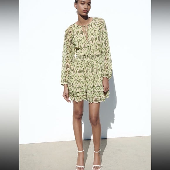 ZARA Printed Plumetis Dress - Size S - Picture 2 of 8